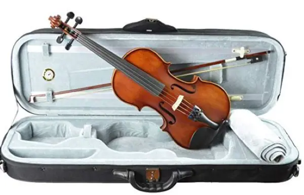 10+10 Best Student Violin for Beginners & Intermediates [Buying Guide] 