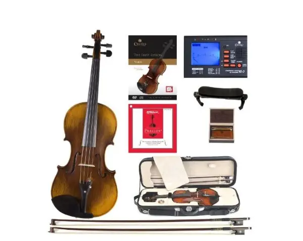 10+10 Best Student Violin for Beginners & Intermediates [Buying Guide] 