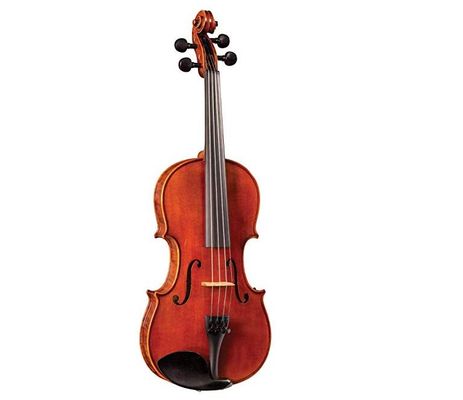 10+10 Best Student Violin for Beginners & Intermediates [Buying Guide] 