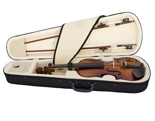10+10 Best Student Violin for Beginners & Intermediates [Buying Guide] 