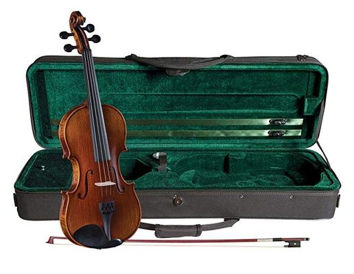 10+10 Best Student Violin for Beginners & Intermediates [Buying Guide] 