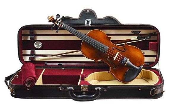 10+10 Best Student Violin for Beginners & Intermediates [Buying Guide] 