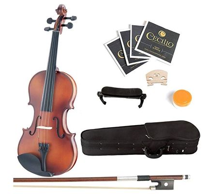 10+10 Best Student Violin for Beginners & Intermediates [Buying Guide] 