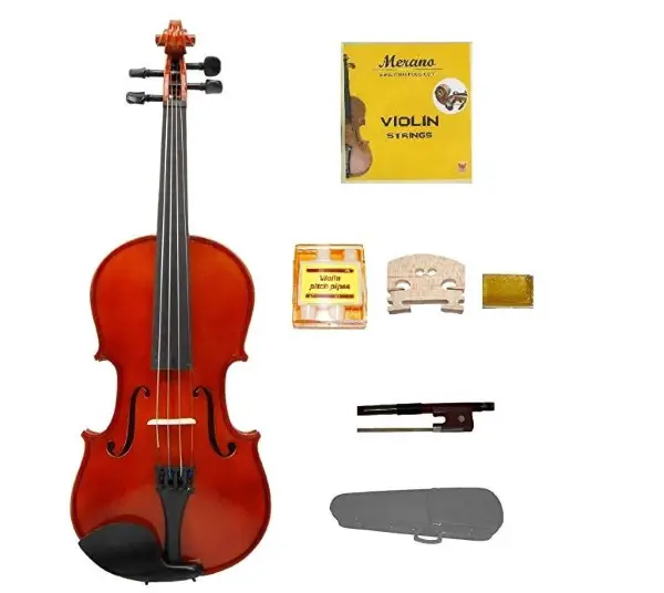 10+10 Best Student Violin for Beginners & Intermediates [Buying Guide] 