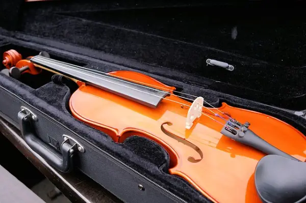 10+10 Best Student Violin for Beginners & Intermediates [Buying Guide] 