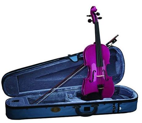 10+10 Best Student Violin for Beginners & Intermediates [Buying Guide] 