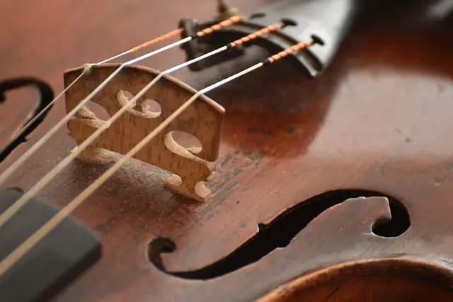 17 Parts of a Violin and Bow: A Compete Guide