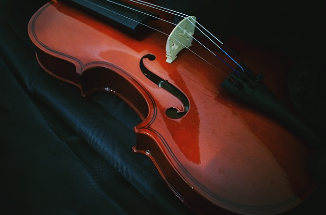 17 Parts of a Violin and Bow: A Compete Guide