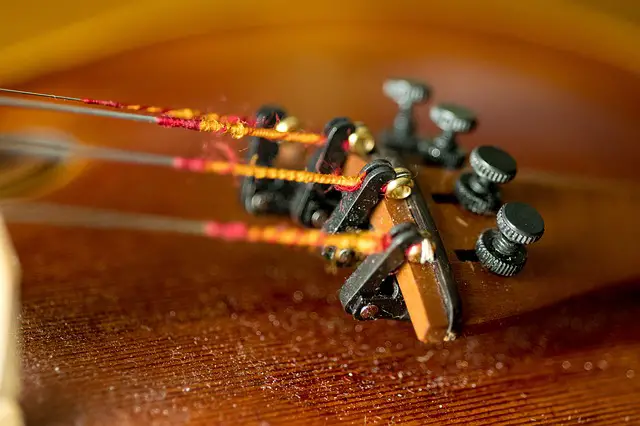 17 Parts of a Violin and Bow: A Compete Guide