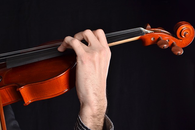 17 Parts of a Violin and Bow: A Compete Guide