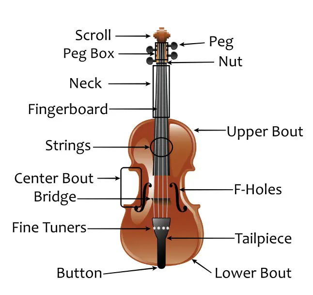 Parts of the violin - labelled individually