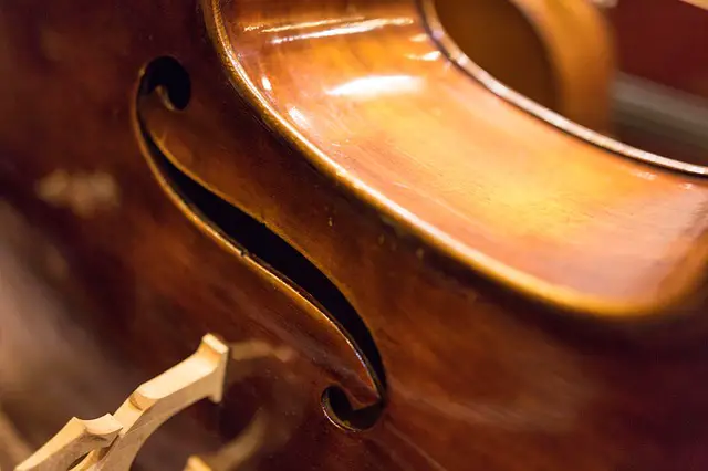 17 Parts of a Violin and Bow: A Compete Guide