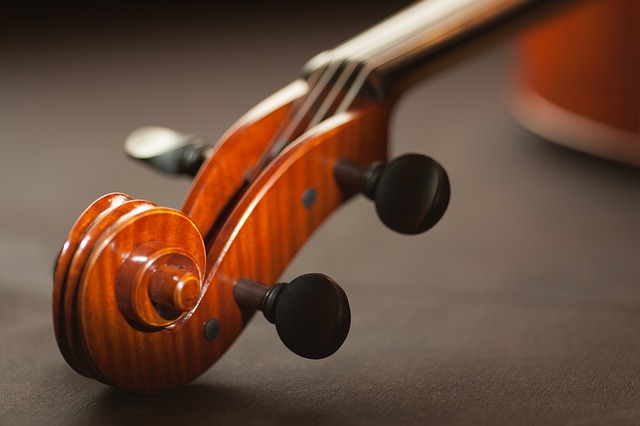 17 Parts of a Violin and Bow: A Compete Guide