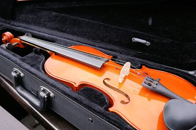 Violin Prices: How Much Does a Violin Cost in 2022?
