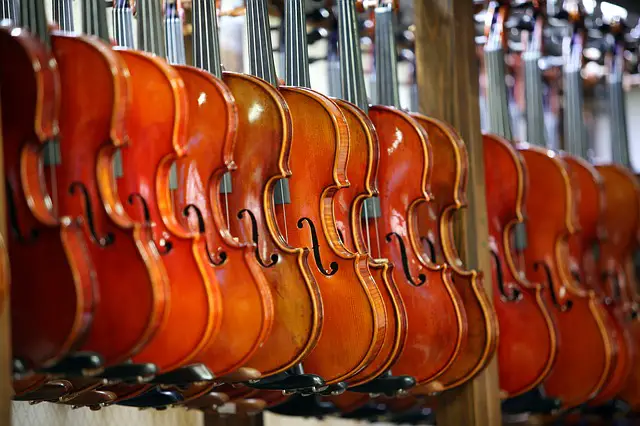 Violin Prices: How Much Does a Violin Cost?