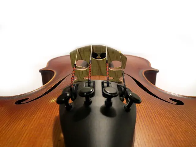 Violin Tuning - How To Tune A Violin + (Free) Online Tuner