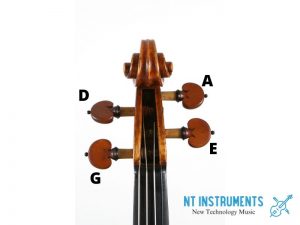Violin scroll with G D A E strings