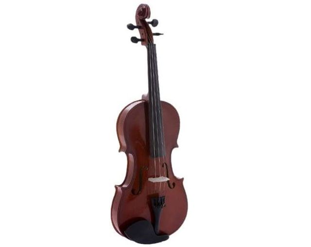 10 Best Violin for Kids - Full Buying Guide (2022)