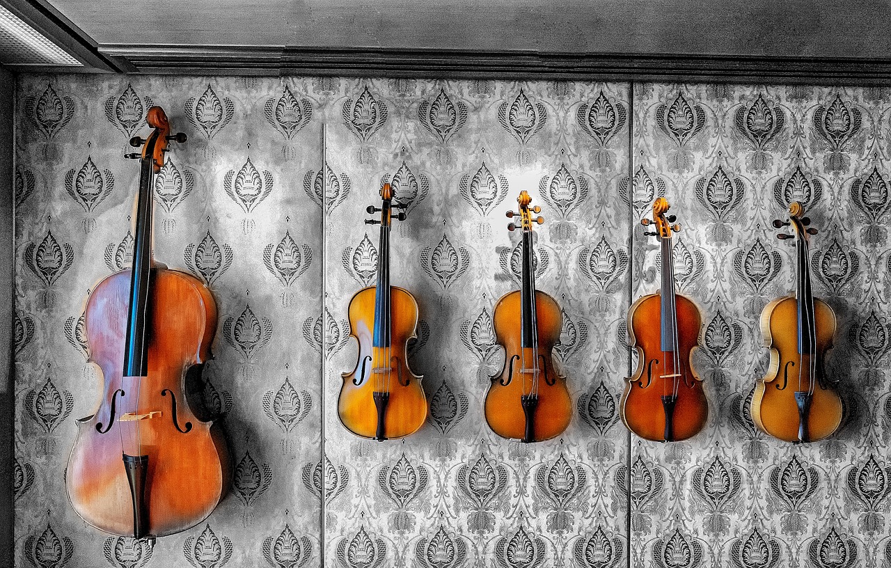 kode Byttehandel køleskab Viola vs Violin: 5 Key Differences Between The Two Instruments