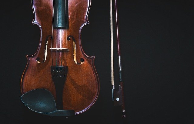 Viola vs Violin - 5 Key Differences Between The Two Instruments