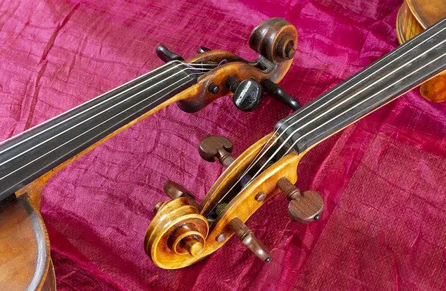 Viola vs Violin: 5 Key Between Two Instruments