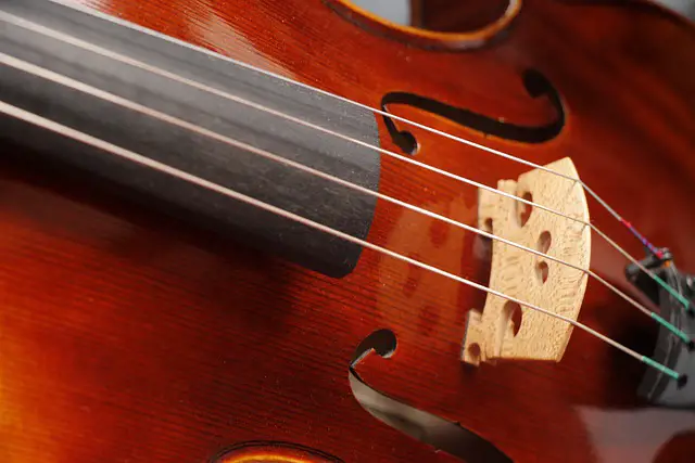 Viola vs Violin - 5 Key Differences Between The Two Instruments