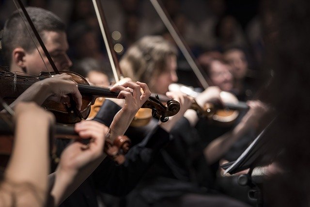 Cello vs Violin: What’s The Difference and Which is Best For YOU?