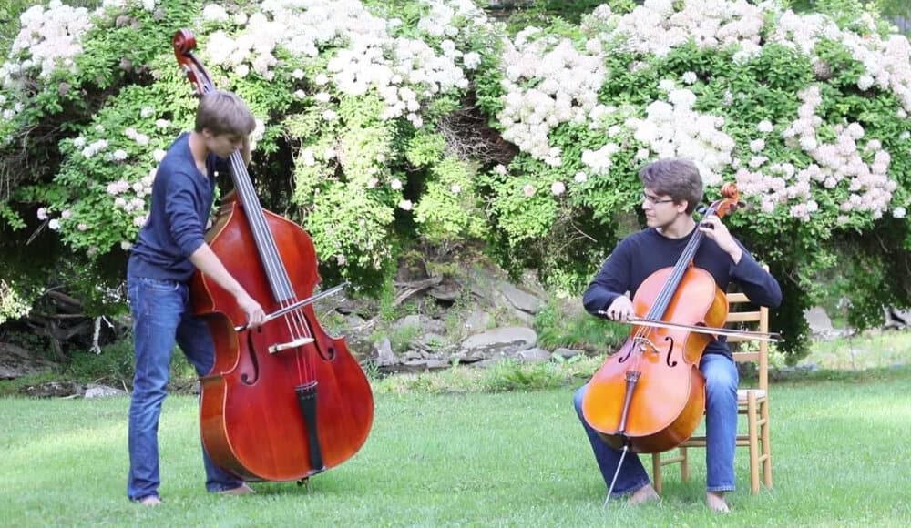 Cello vs Double Bass Size - the bass is on the left