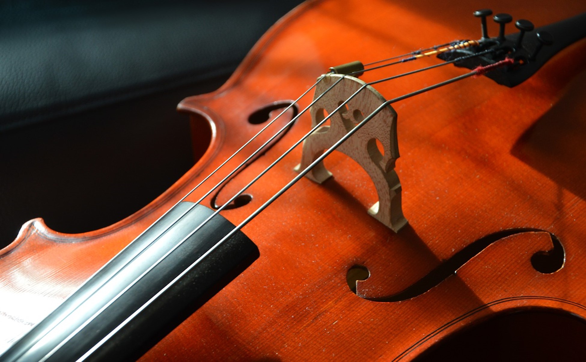 Cello Strings: How to Choose the Right Ones For Your Instrument