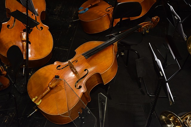 Double Bass & Upright Bass - Ultimate Buying Guide