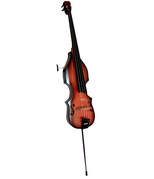 7 Best Electric Upright Double Bass Options