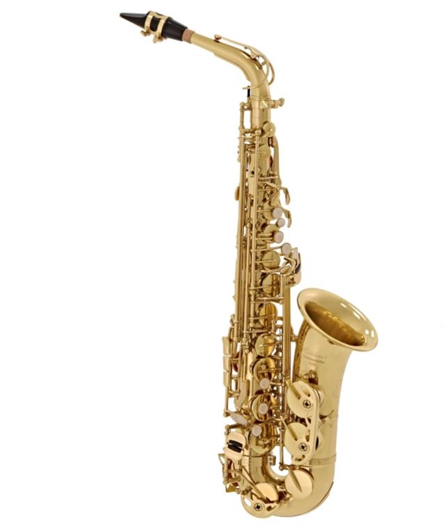 Best 10 Alto Saxophone for Beginners