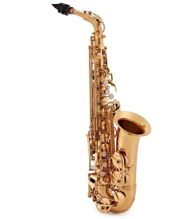 Best 10 Alto Saxophone for Beginners
