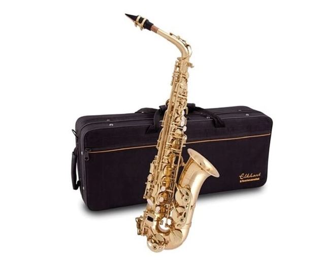 Best 10 Alto Saxophone for Beginners