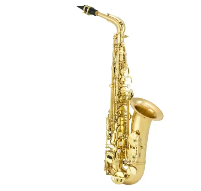 Best 10 Saxophone Brands