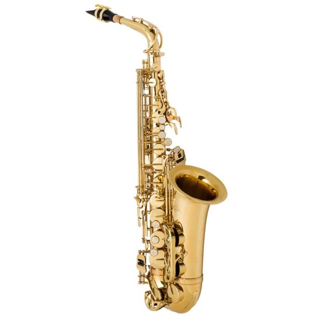 Best 10 Alto Saxophone for Beginners