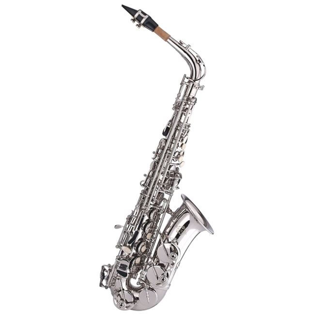 Best 10 Alto Saxophone for Beginners in 2022