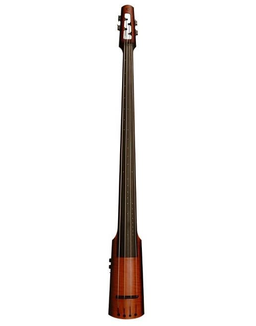 7 Best Electric Upright Double Bass Options in 2022