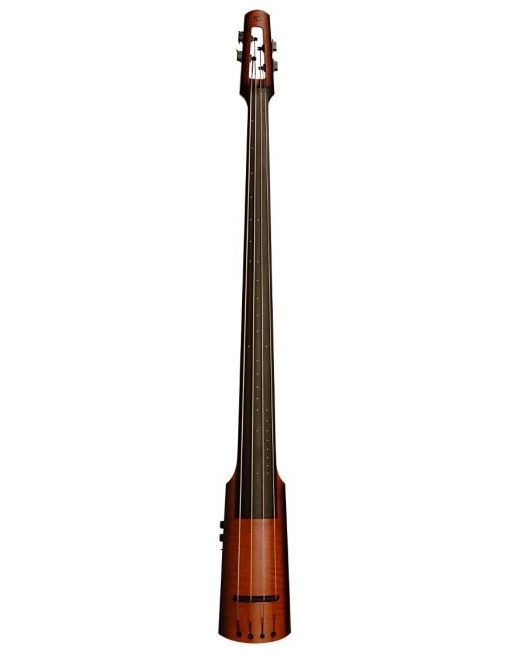 7 Best Electric Upright Double Bass Options