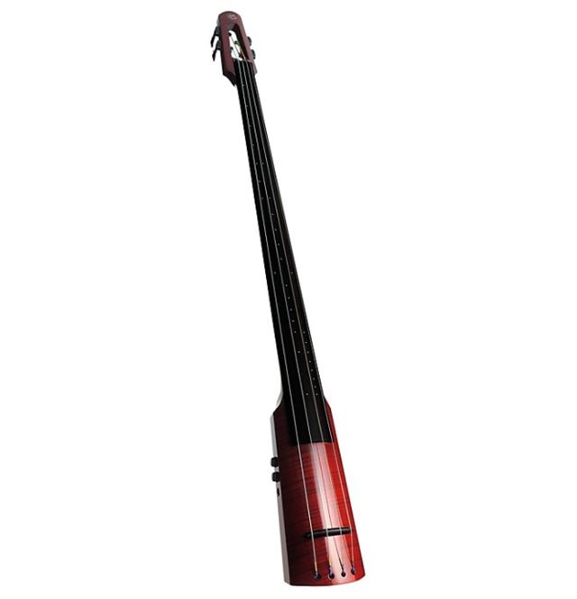 7 Best Electric Upright Double Bass Options