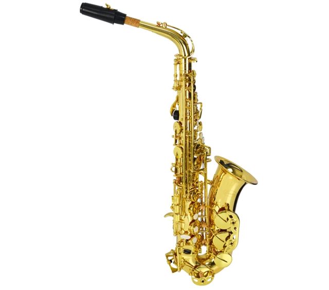 Best 10 Alto Saxophone for Beginners