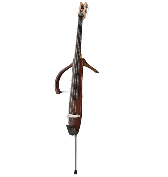 7 Best Electric Upright Double Bass Options
