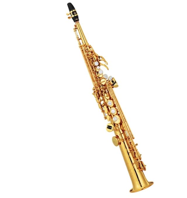 Which Soprano Saxophone to Choose? 9 Best Options