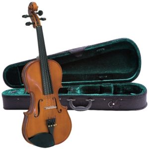 Best Violin Reviews & Best Violin Brands For Sale ([year])