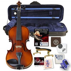 Best Violin Reviews & Best Violin Brands For Sale ([year])