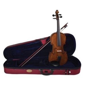 Best Violin Reviews & Best Violin Brands For Sale ([year])