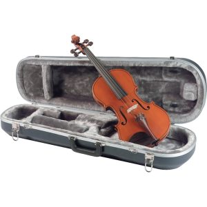 Best Violin Reviews & Best Violin Brands For Sale ([year])