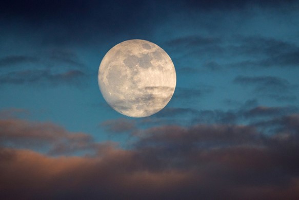 23 Best Songs About The Moon That Will Make You Want to Howl!