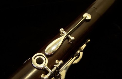 Woodwind instruments in an orchestra